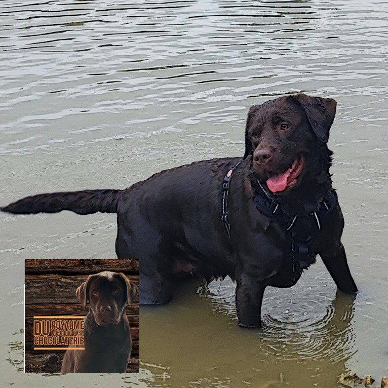 Nala Du haut de crecy